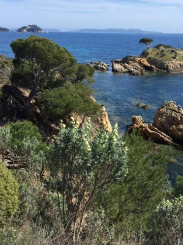 Ecrin De Verdure Sur Le Lavandou - Classement Tourisme 3 Etoiles Bagian luar foto
